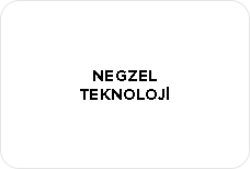 NEGZEL TEKNOLOJİ A.Ş.